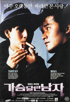 夜樱信笺
